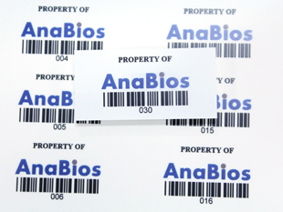 #102355 - MATTE POLYESTER PERMANENT VOID LABELS
