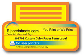 #101704 - MATTE PAPER REMOVABLE LABELS